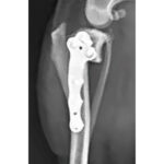 ALPS Il TPLO Titanium Plates - Image 5