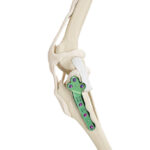 ALPS Il TPLO Titanium Plates - Image 7