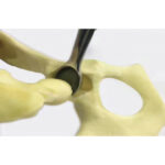 Hatt Spoon - Image 2
