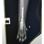 Pancarpal Arthrodesis Locking Plate - Image 3