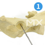 Universal Aim Device - Image 3