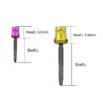 VSS Polyaxial Pedicle Screws - Image 3