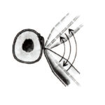 Wire Tightener With Two Cranks - Image 3